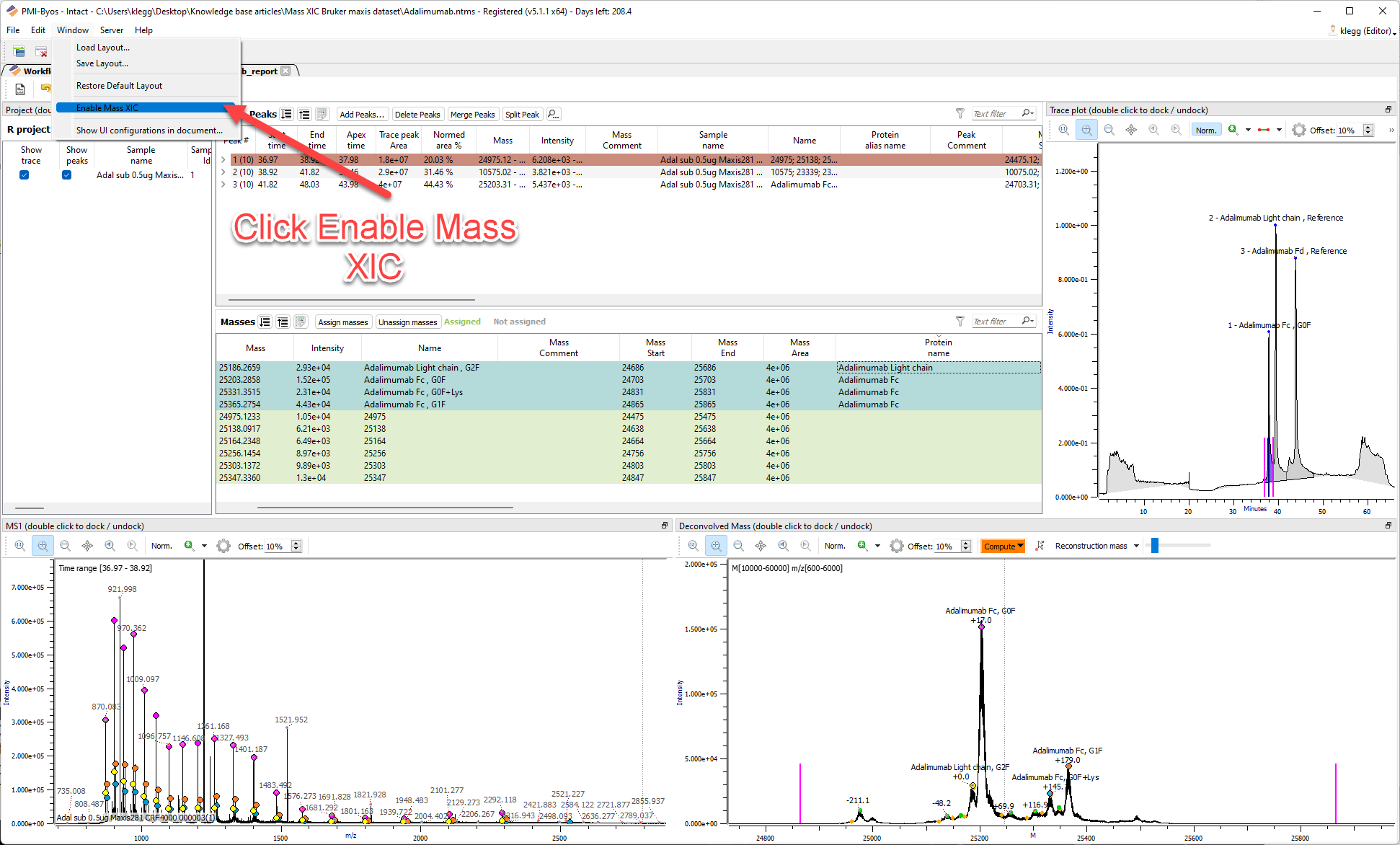 How to enable mass XIC plots during Intact analysis Protein Metrics