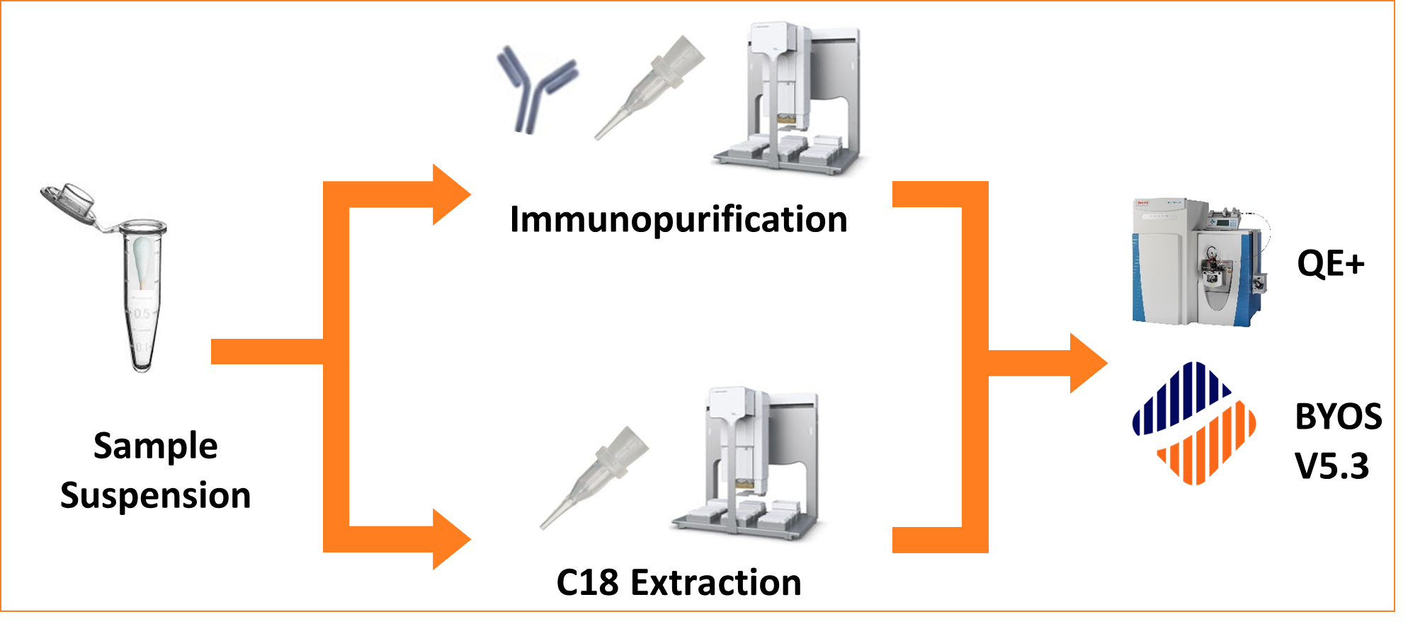 Intact Mass: Workflow Setup for Low MW