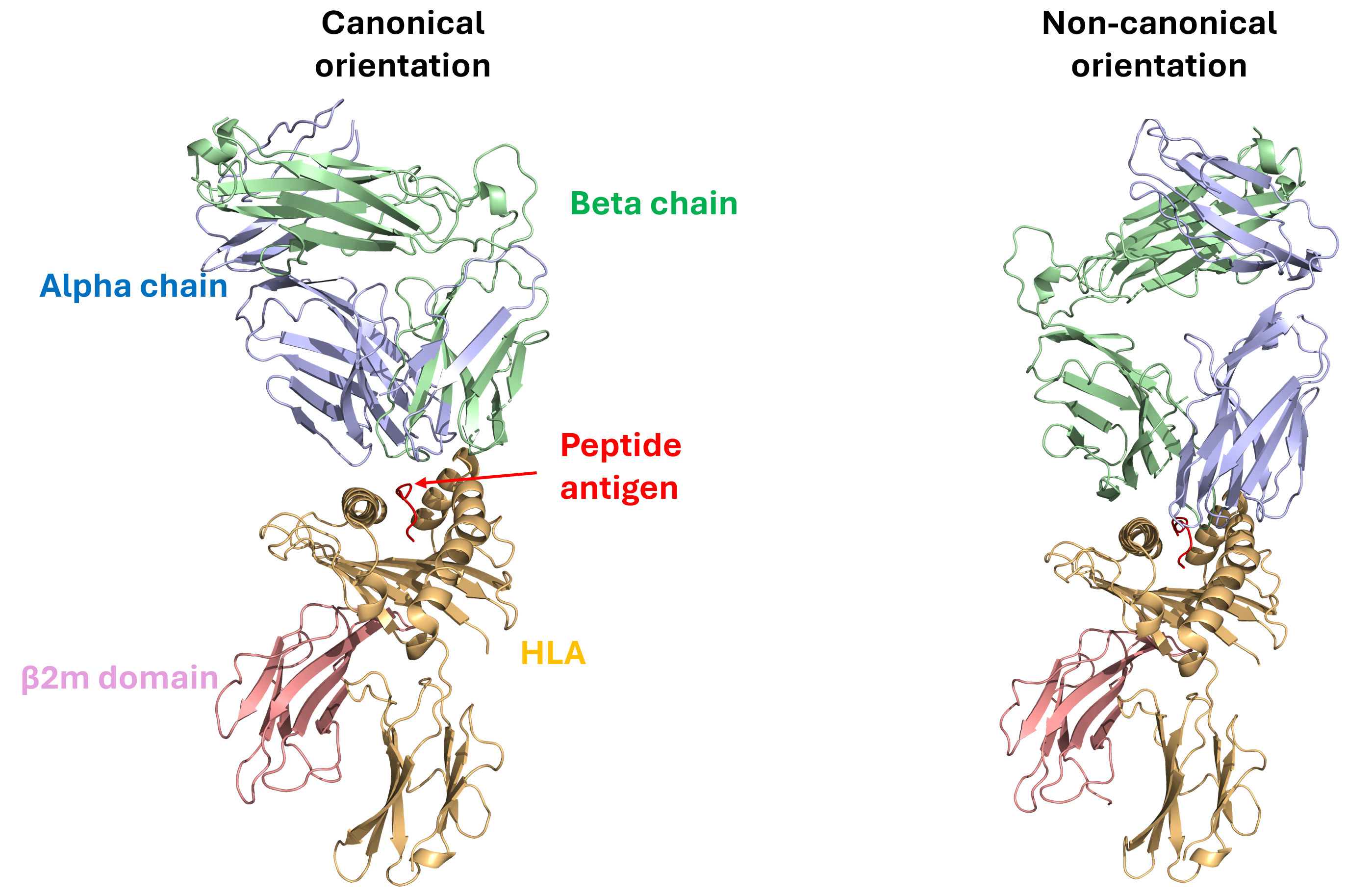 Figure 1.png